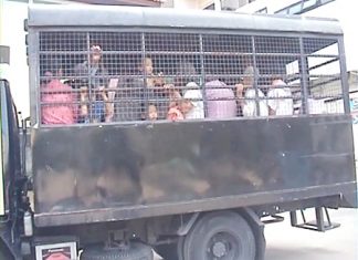 The illegal aliens are driven away by Pattaya immigration police.